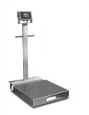 Portable platform scales