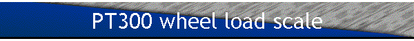 PT300 wheel load scale